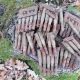 aproximativ 50 de cartușe de infanterie, calibru 7,62 mm, provenite din cel de-al doilea război mondial