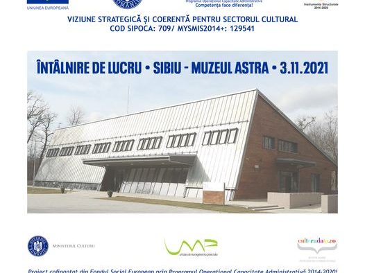 Muzeul Astra, gazda întâlnirii de lucru pentru identificarea problemelor și nevoilor sectorului cultural