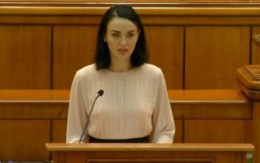Deputatul Christine Thellmann: Am votat pentru scăderea prețului la lemnul de foc