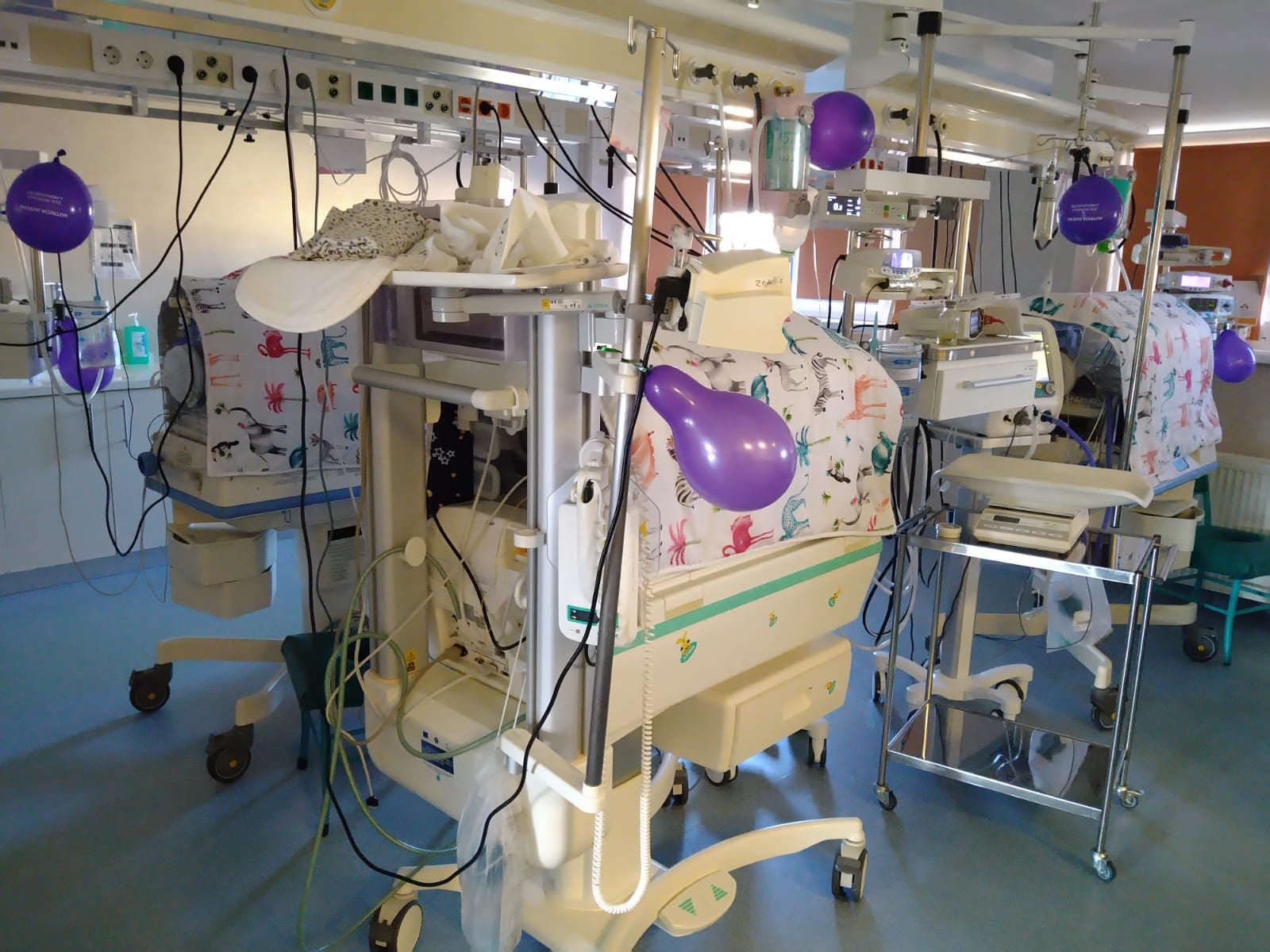 Medicul Livia Ognean: 1 din 10 copii se naște prematur, iar de Ziua Mondială dedicată lor, vreau să le urez tuturor piticilor din lume sănătate și putere Medicul Livia Ognean: 1 din 10 copii se naște prematur, iar de Ziua Mondială dedicată lor, vreau să le urez tuturor piticilor din lume sănătate și putere