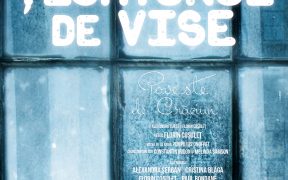 Teatrul Național „Radu Stanca” Sibiu anunță reprezentațiile finalului de an  