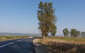Consiliul Județean Sibiu a semnat contractul pentru realizarea pistei de biciclete dintre localitățile Avrig și Mârșa