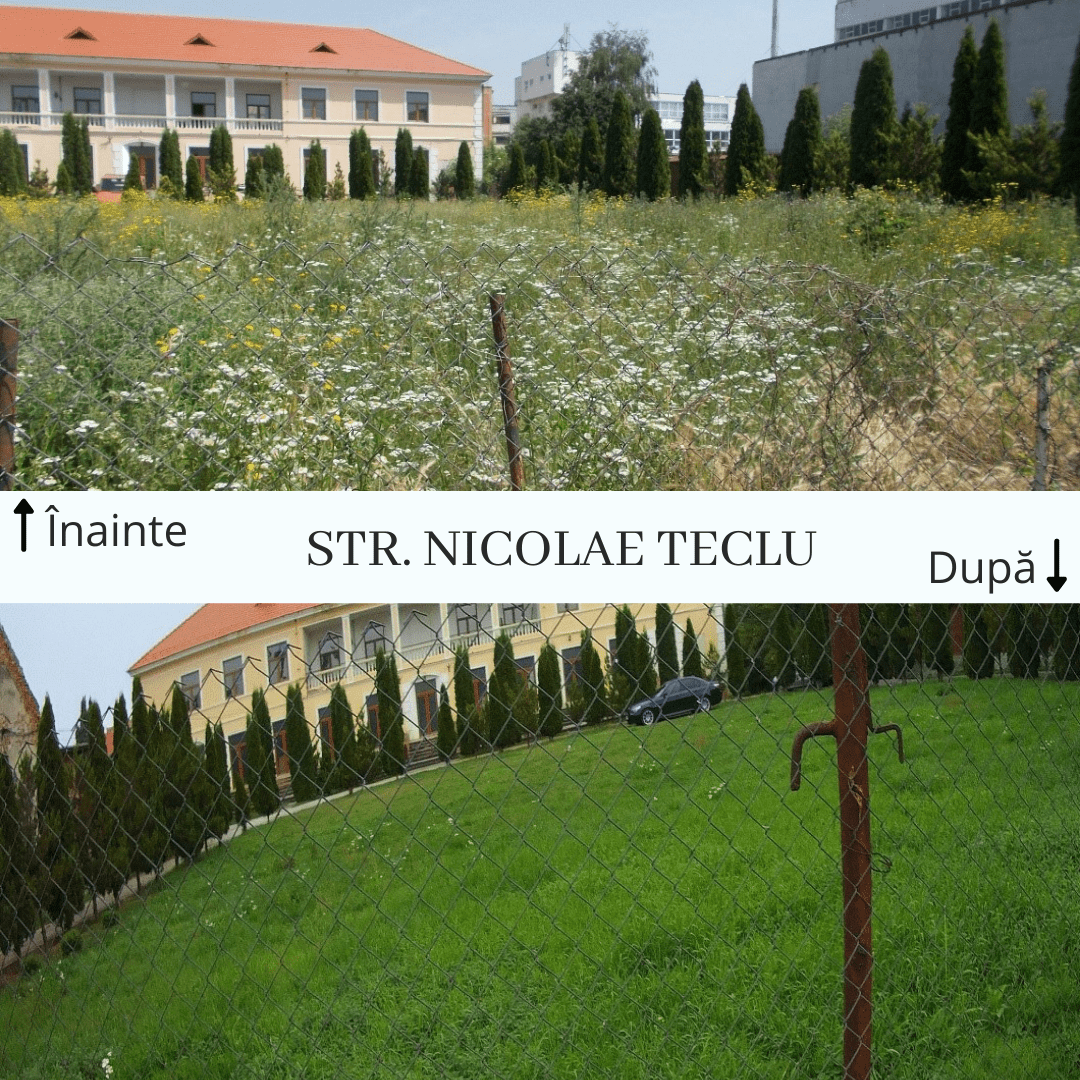 Astrid Fodor: Aspectul orașului este afectat de aceste terenuri neîngrijite