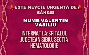 Reprezentanții Liceului Teoretic „Axente Sever” ne cer ajutorul