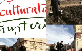 Jucătorul BC CSU Sibiu, Rareș Uță, voluntar pentru o zi la Asociația Șura Culturală din Gușterița