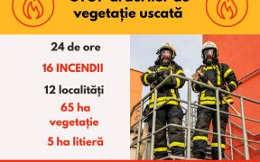 16 incendii de vegetație, produse în ultimele 24 ore