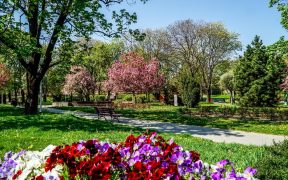 Curățenia de primăvară în spațiile publice din Sibiu