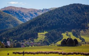,,Guvernanță și Finanțare în Arii Naturale Protejate’’, eveniment găzduit de Primăria Rășinari în cadrul Platformei de învățare a Programului INTERREG EUROPE