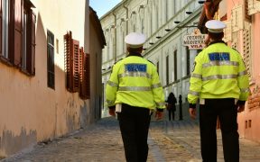 Polițiștii locali au prins un hoț de mașini