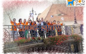 Aproximativ 100 rase jurizate de arbitrii naționali și internaționali, la Sibiu Dog Show