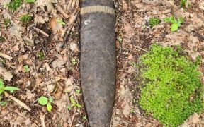 Misiune pirotehnică în zona de pădure din afara localității Porumbacu de Sus