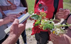 Cadre didactice şi ghizi de turism învaţă metode creative de explorare responsabilă a naturii