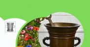 Din natură în farmacie la Muzeul de Istorie Naturală din Sibiu