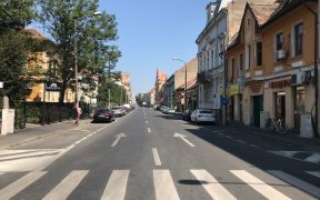 Promenada Bdul Victoriei (1)