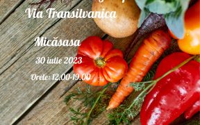 Micăsasa cu Bun Gust, pe Via Transilvanica