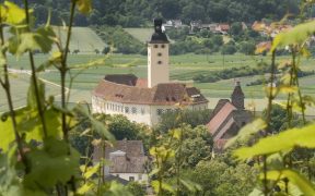 Muzeul Transilvănean din Gundelsheim – Germania se extinde