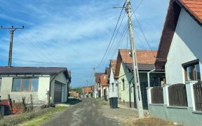 Ovidiu Tocaciu, AUR: ”Cerem apă pe strada Cimitirului din Slimnic!”