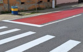 Ovidiu Tocaciu (AUR): ”Poliția ar trebui să aibă calitate de inculpat, exact ca cel vinovat de accident”