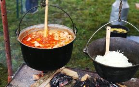 Duminică, la Bradu: Festivalul ”Țara Oltului în Produse și Tradiții”