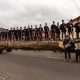 Adusul Fagului – o tradiție vie la Sadu