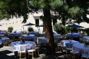 Cum a fost la Vinotopia, eveniment dedicat iubitorilor de vin, tradiție și muzică