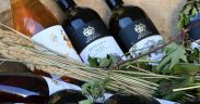 Cum a fost la Vinotopia, eveniment dedicat iubitorilor de vin, tradiție și muzică