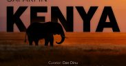 Expoziție de fotografie dedicată naturii sălbatice din Kenya